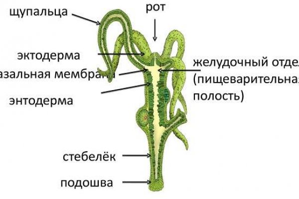 Кракен как попасть