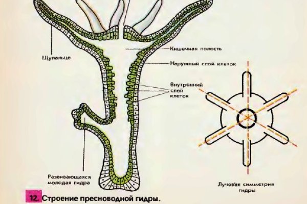 Кракен не приходят деньги